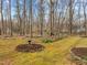 Private backyard featuring mature trees and natural landscaping, creating a serene and inviting atmosphere at 6106 Bent Oak Dr, Durham, NC 27705