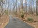 Long paved driveway leading to a secluded home surrounded by mature trees and lush greenery at 6106 Bent Oak Dr, Durham, NC 27705