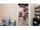 Unfinished basement space includes shelving for ample storage and potential for customization at 6301 King Lawrence Rd, Raleigh, NC 27607
