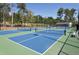 Community pickleball courts with shade and seating, for residents to enjoy at 823 Atticus Way, Durham, NC 27703