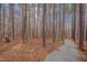 Scenic nature trail through the private woods at 108 Springfield Pl, Hillsborough, NC 27278