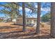 Backyard view with a tan house, a carport, trees, and ground covered with pine straw at 1403 Fairground Road Rd, Dunn, NC 28334