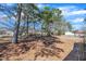 Large backyard with trees on a sunny day at 1403 Fairground Road Rd, Dunn, NC 28334