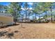 Large backyard featuring mature trees and ample space for outdoor activities at 1403 Fairground Road Rd, Dunn, NC 28334