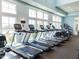 Well-equipped fitness center with treadmills, elliptical machines, and large windows with a view at 286 Two Creeks Lp, Chapel Hill, NC 27517