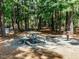 Community picnic area with picnic table and grill at 286 Two Creeks Lp, Chapel Hill, NC 27517