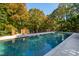 Inviting in-ground pool surrounded by mature trees and decorative brickwork, perfect for relaxation at 303 Laurel Hill Road, Chapel Hill, NC 27514