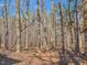 Lush and inviting wooded area surrounding property that offers privacy, serenity, and a natural backdrop at 5500 Bobbitt Rd, Apex, NC 27539