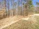 Backyard features tall trees, and grass at 135 N Ridge View Way, Franklinton, NC 27525