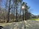 View of the treed backyard with the sun shining through at 343 Magnolia Run Way, Benson, NC 27504