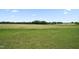 Expansive grassy field perfect for agricultural use or recreational activities with a pond in the distance at 6804 Arlington Oaks Trl, Raleigh, NC 27603