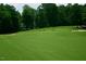 Picturesque golf course image showcasing players on a well-manicured green surrounded by trees at 112 Rawhide Dr, Louisburg, NC 27549
