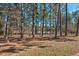 Scenic view from the backyard, showcasing towering trees and a glimpse of the tranquil lake at 2128 Arborwood Dr, Durham, NC 27705