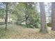 Lush backyard with mature trees and natural ground cover, offering a serene and private outdoor space at 2618 Elgin St, Durham, NC 27704