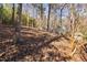 Expansive backyard landscape, offers a serene and private outdoor retreat at 330 Wesley Dr, Chapel Hill, NC 27516