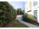 Secluded backyard featuring mature hedges, lawn area, and a white fence, creating a private outdoor retreat at 3937 Bentley Brook Dr, Raleigh, NC 27612