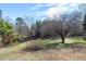 Natural landscape showing mature trees and natural growth at 8604 N Roxboro St, Bahama, NC 27503
