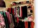 Spacious walk-in closet with an organized shelving system perfect for storing clothing at 1141 Early Rise St, Raleigh, NC 27610