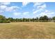 Expansive backyard with a view of a serene lake surrounded by mature trees at 121 Stone Nut Trl, Fuquay Varina, NC 27526