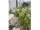 Landscaped backyard with roses and stone path, ideal for peaceful relaxation and outdoor enjoyment at 1913 Brodgen Ln, Durham, NC 27703