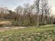 A mostly clear backyard with a small ravine surrounded by a dense tree line and a cloudy sky at 274 Roaring Creek Dr, Garner, NC 27529