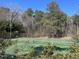 View of well-maintained community tennis courts at 3306 Whitfield Rd, Chapel Hill, NC 27514