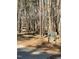 Scenic trail with sign at 3306 Whitfield Rd, Chapel Hill, NC 27514