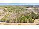 Expansive aerial view of heavily wooded property with road access at 348 Raymond Tharrington Rd, Louisburg, NC 27549