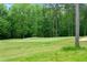 Scenic golf course view features lush green grass, sand traps, and mature trees at 498 Mountain Laurel, Chapel Hill, NC 27517
