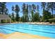Large community swimming pool with lounge chairs and umbrellas in a wooded setting at 498 Mountain Laurel, Chapel Hill, NC 27517