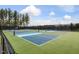 Community pickleball courts surrounded by a secure black fence with lush trees at 705 Vine Pkwy, Pittsboro, NC 27312