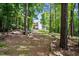 Lush backyard with mature trees offering privacy and a natural setting for relaxation at 766 Horizon Dr, Pittsboro, NC 27312