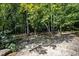Backyard with a sandbox, hammock and mature trees creating a tranquil space at 766 Horizon Dr, Pittsboro, NC 27312