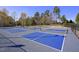 Enjoy a fun game on these outdoor pickleball courts with blue surfaces surrounded by trees and fencing at 12321 Penrose Trl, Raleigh, NC 27614