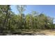A landscape shot of the backyard featuring a dense forest on a clear, sunny day at 158 Gobbler Dr, Smithfield, NC 27577