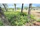 Property featuring new homes surrounded by natural greenery and landscaping at 158 Gobbler Dr, Smithfield, NC 27577