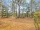 Overgrown wooded backyard provides privacy at 2459 Memory Ridge Dr, Raleigh, NC 27606