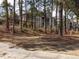 Community playground surrounded by mature trees and lush landscaping on a sunny day at 2459 Memory Ridge Dr, Raleigh, NC 27606