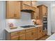 Well-equipped kitchen with custom cabinets, stainless steel appliances, and a gas range at 287 Beacon Dr, Pittsboro, NC 27312