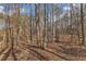 Secluded backyard setting with mature trees providing shade and privacy at 330 Bridgeport Cir, Clayton, NC 27527