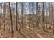 Home's exterior viewed through backyard trees with a winding wooded path at 330 Bridgeport Cir, Clayton, NC 27527