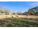 The backyard features a large grassy lawn at 716 S Meadow Rd, Raleigh, NC 27603