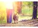 Person walking a dog on a bright sunny day down a nature trail at 9168 Dupree Meadow Dr # 15, Angier, NC 27501