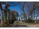 Backyard view with mature trees and natural landscaping, creating a serene and private outdoor setting at 1805 Shelton Ave, Durham, NC 27707
