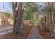 Backyard with gravel path, mature trees, storage shed, and lush landscaping at 300 Mccauley St, Chapel Hill, NC 27516