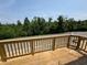 Deck overlooking the treeline behind the property, light brown wood, new construction at 307 Chesapeake Commons St # 100, Garner, NC 27529