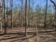 View of the wooded backyard showing its serene and natural setting at 325 Bainbridge Cir, Garner, NC 27529