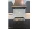 The kitchen features a stainless steel range with a custom vent hood and modern cabinetry at 103 Inara Ct, Carrboro, NC 27510