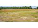 A view of the yard with trees in the background at 1286 W Blackman Rd, Dunn, NC 28334