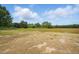 A view of the yard with trees in the background and blue skies at 1286 W Blackman Rd, Dunn, NC 28334